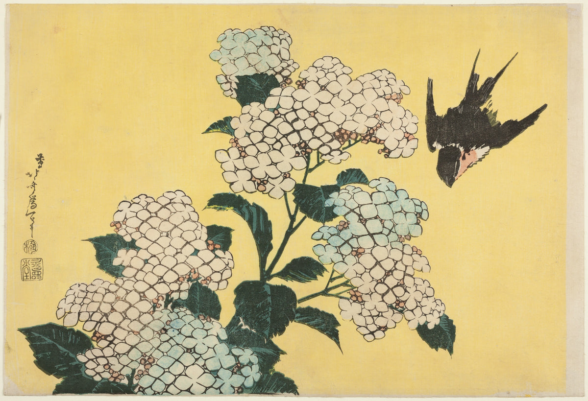葛飾北斎「紫陽花に燕」