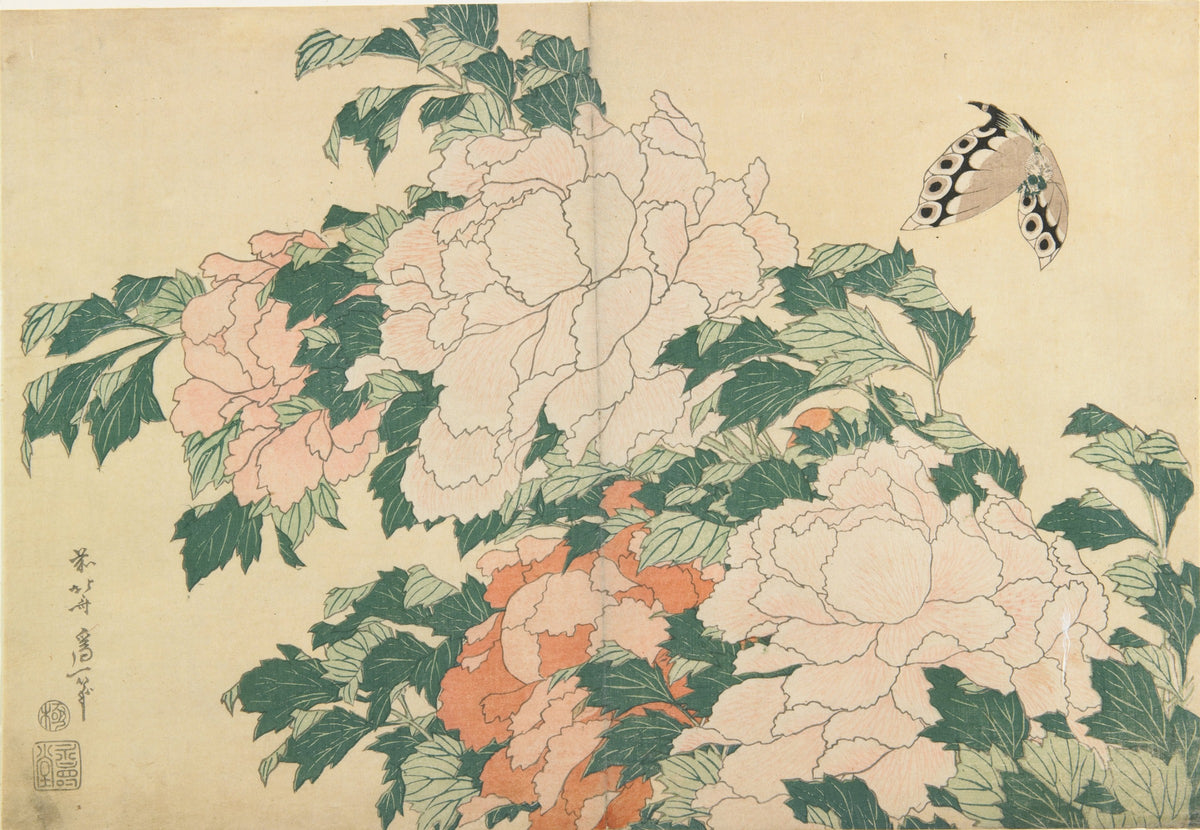 葛飾北斎「牡丹に蝶」
