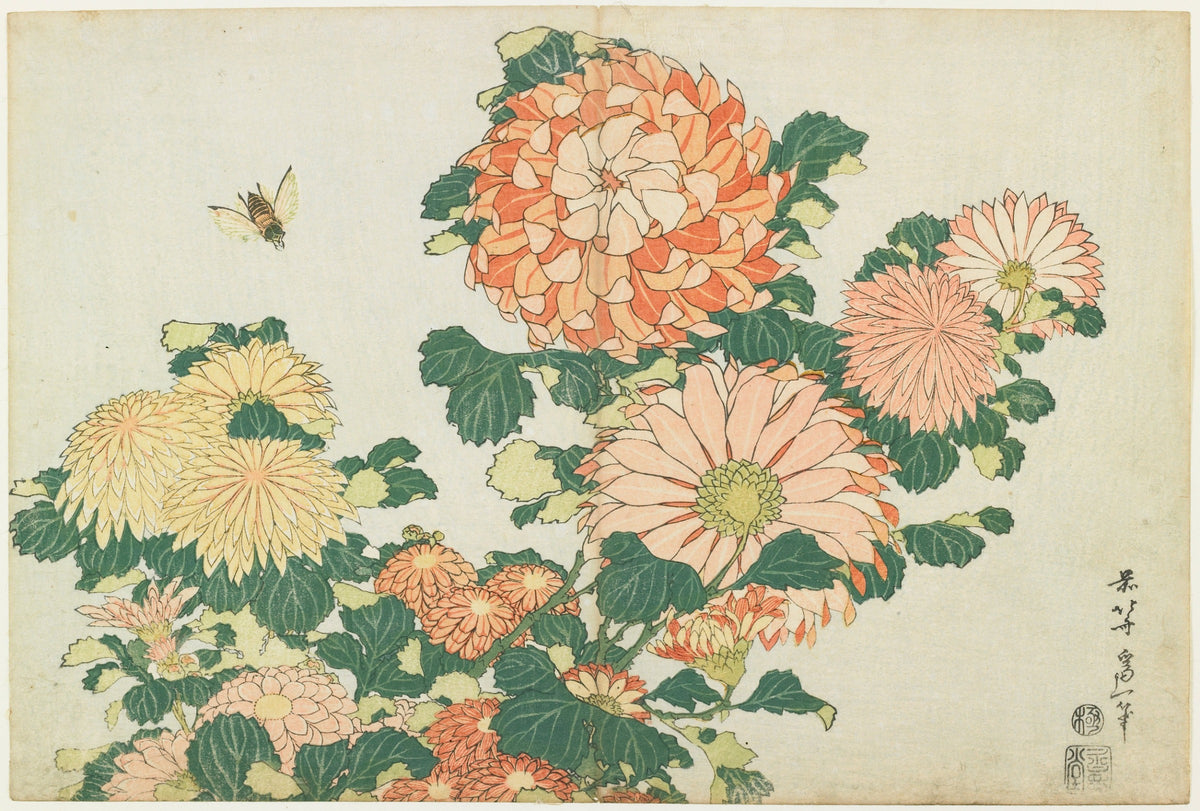 葛飾北斎「菊に虻」