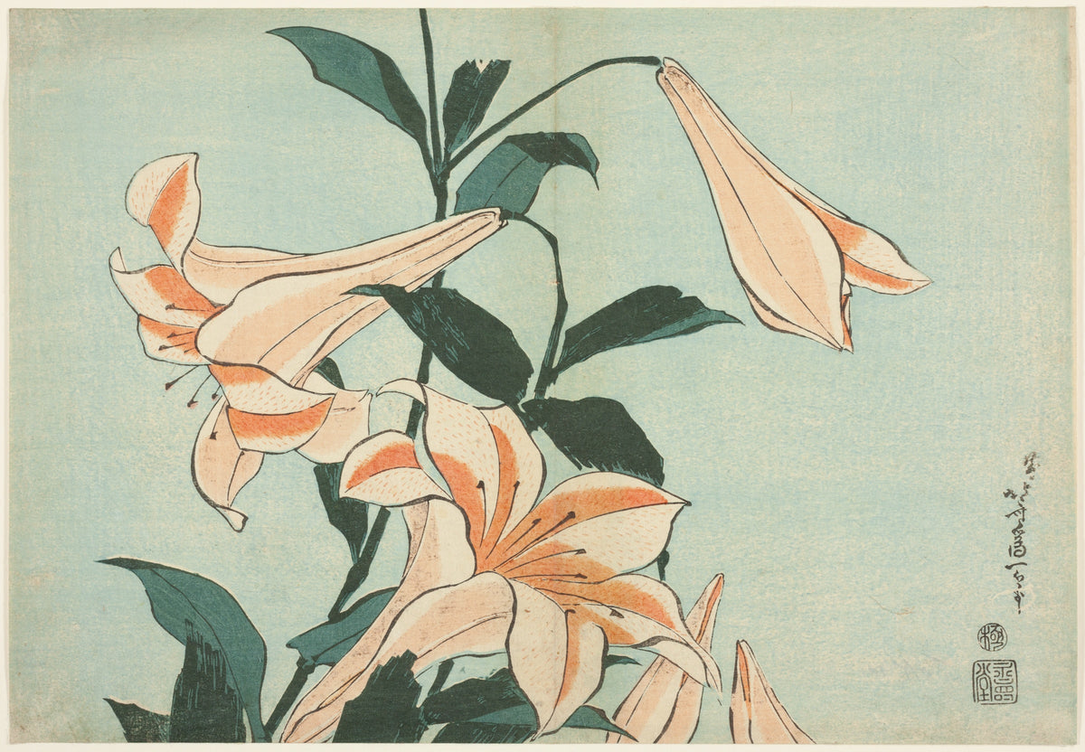 葛飾北斎「百合」
