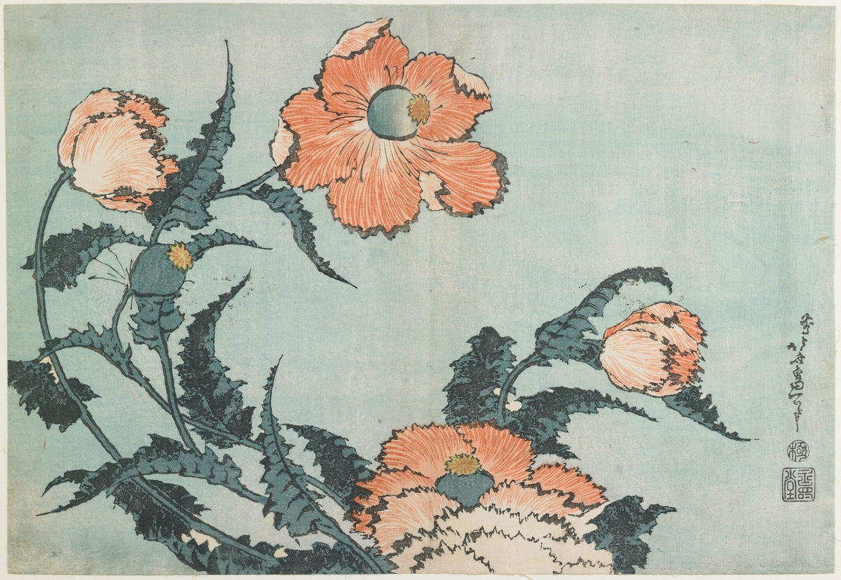 葛飾北斎《芥子》ミネアポリス美術館蔵
